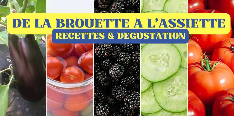 RECETTES DEGUSTATION : de la Brouette à l'Assiette !